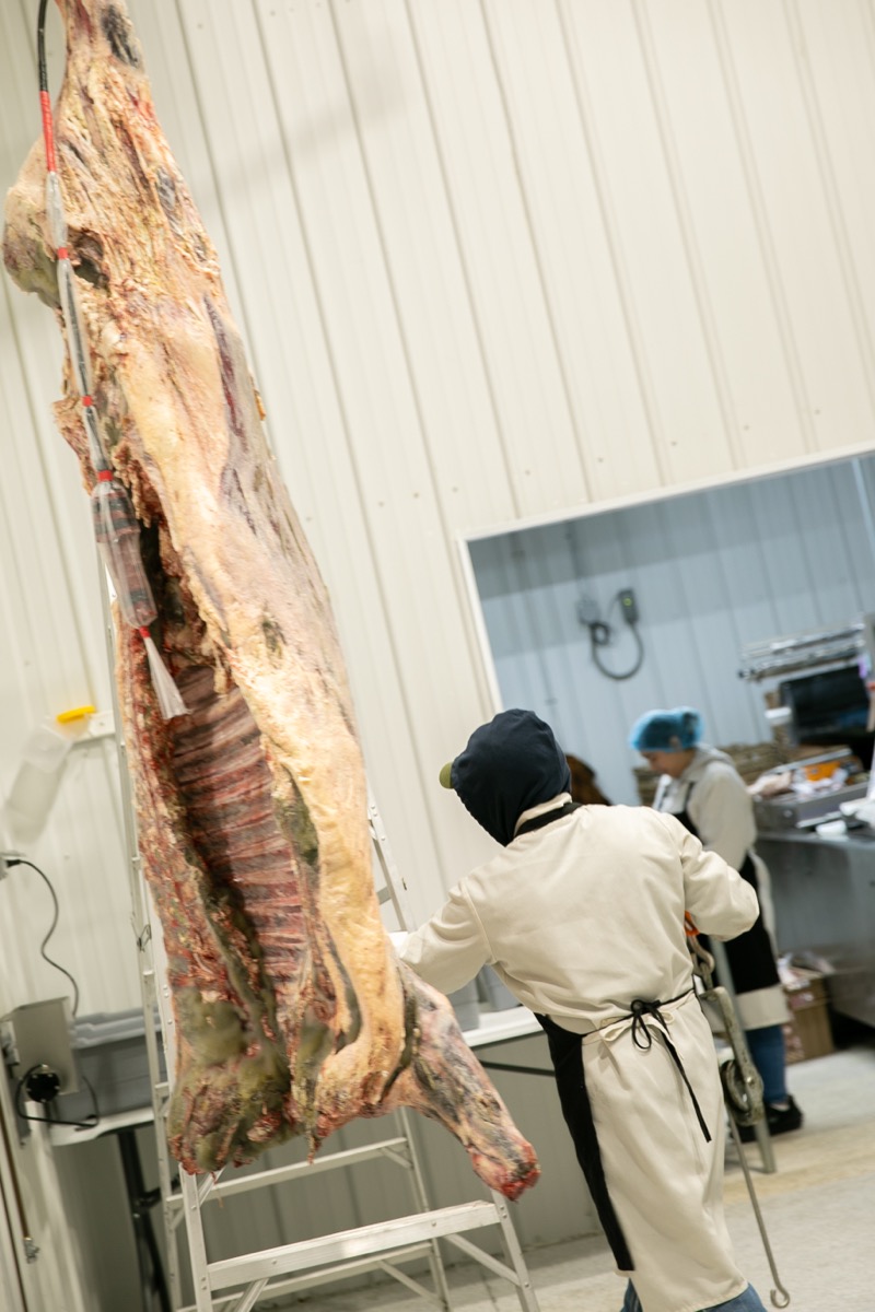 90 West Beef processing