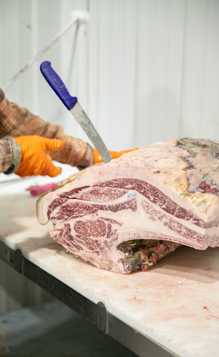 90 West Beef processing