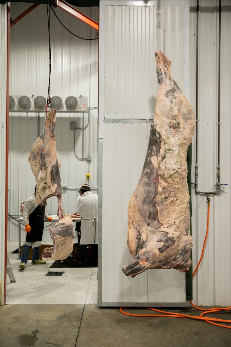 90 West Beef processing