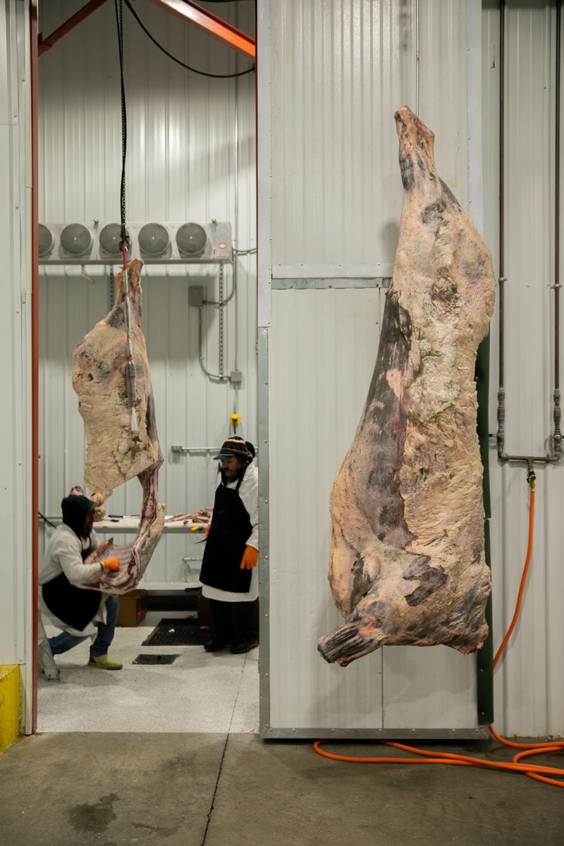 90 West Beef processing